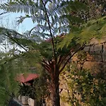 Campo De Sobarbo - Rural Villa Penafiel