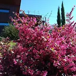 Campo De Sobarbo - Rural Villa *