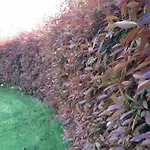 Villa Campo De Sobarbo - Rural Penafiel