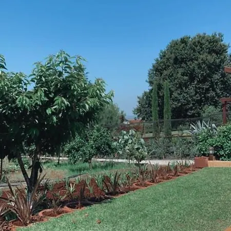 Campo De Sobarbo - Rural فيلة بينافيل