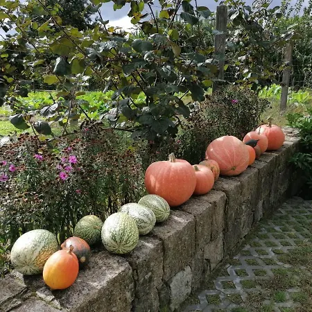 Campo De Sobarbo - Rural Пеньяфьель
