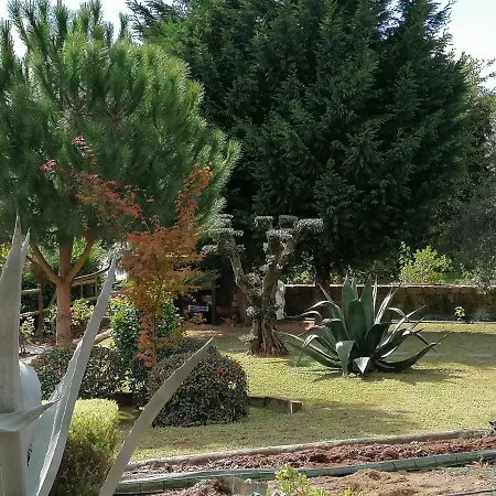 Campo De Sobarbo - Rural Пеньяфьель