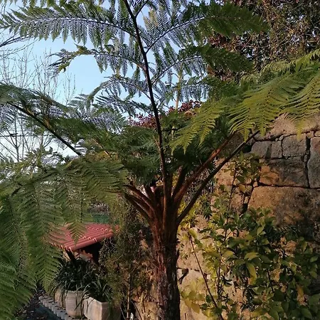 Campo De Sobarbo - Rural Вилла Пеньяфьель