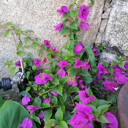 Вилла Campo De Sobarbo - Rural