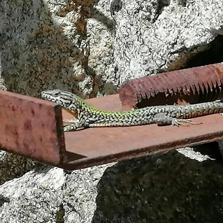 Campo De Sobarbo - Rural Villa