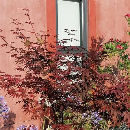 Campo De Sobarbo - Rural *