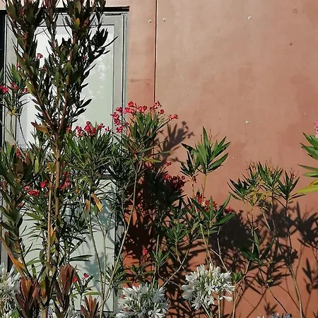 Campo De Sobarbo - Rural 페나피엘