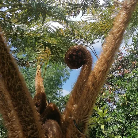 Вилла Campo De Sobarbo - Rural Пеньяфьель
