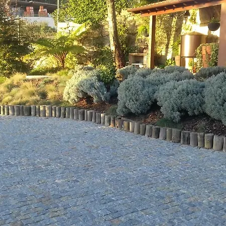 Campo De Sobarbo - Rural 페나피엘