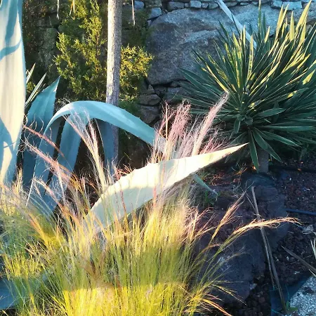 Вилла Campo De Sobarbo - Rural Пеньяфьель