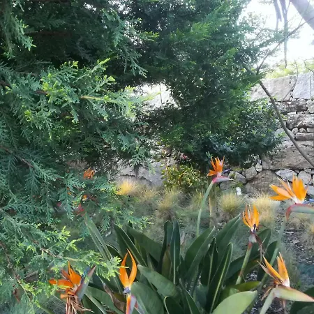 Campo De Sobarbo - Rural * Пеньяфьель