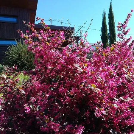 Campo De Sobarbo - Rural Вилла *