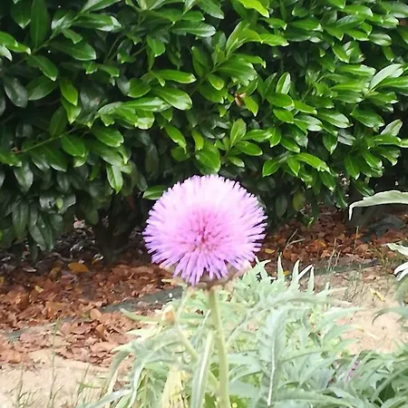 Вилла Campo De Sobarbo - Rural