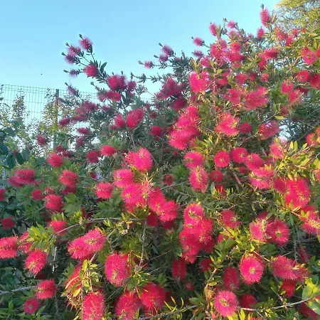 Campo De Sobarbo - Rural Villa