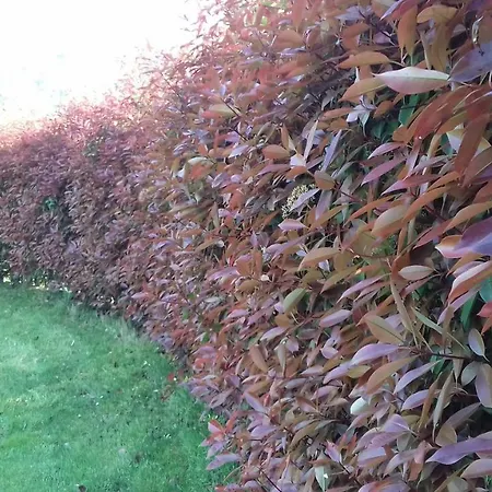 Вилла Campo De Sobarbo - Rural Пеньяфьель