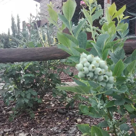 Campo De Sobarbo - Rural