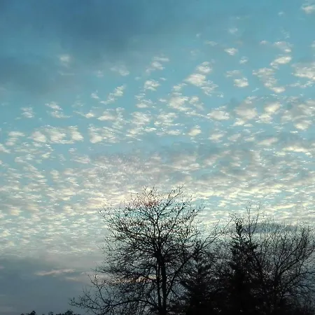 빌라 Campo De Sobarbo - Rural 페나피엘
