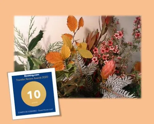 Campo De Sobarbo - Rural Villa Penafiel