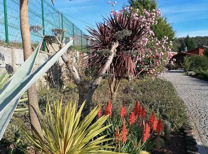 Villa Campo De Sobarbo - Rural Penafiel