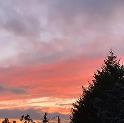 Campo De Sobarbo - Rural * Penafiel