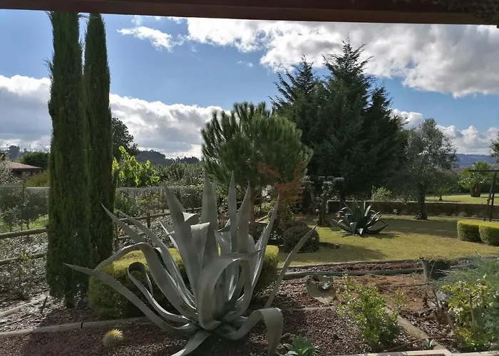 Campo De Sobarbo - Rural Penafiel