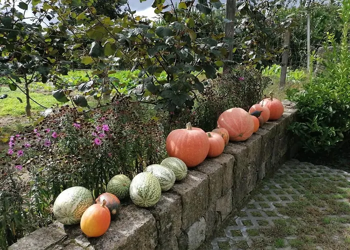 Campo De Sobarbo - Rural Penafiel