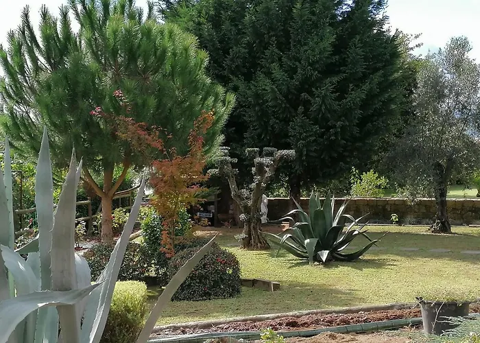 Campo De Sobarbo - Rural Penafiel