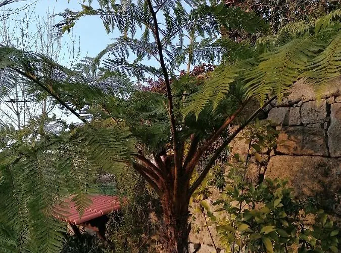 Campo De Sobarbo - Rural Villa Penafiel