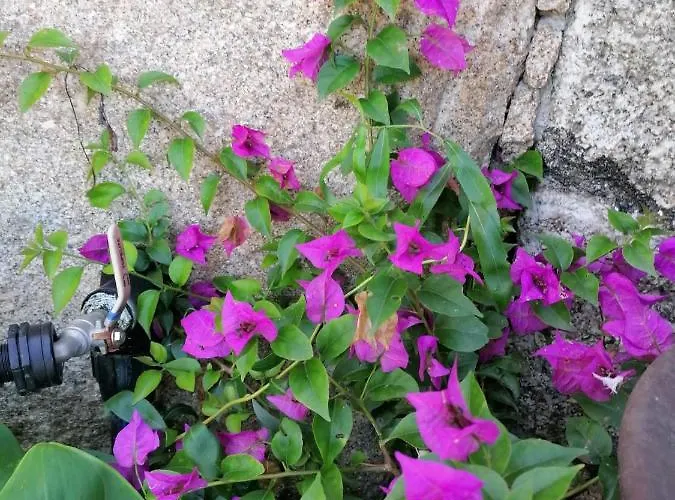 Villa Campo De Sobarbo - Rural