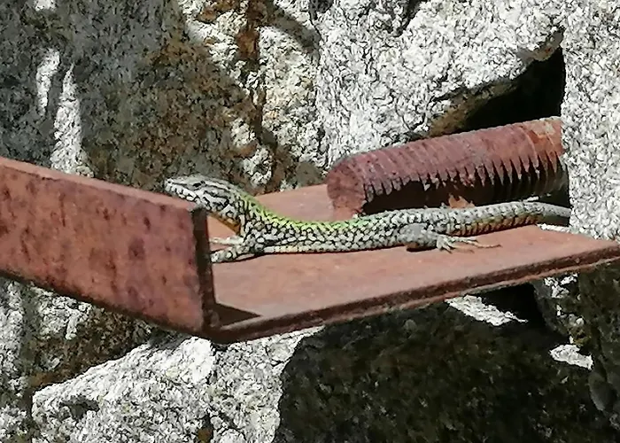 Campo De Sobarbo - Rural Villa