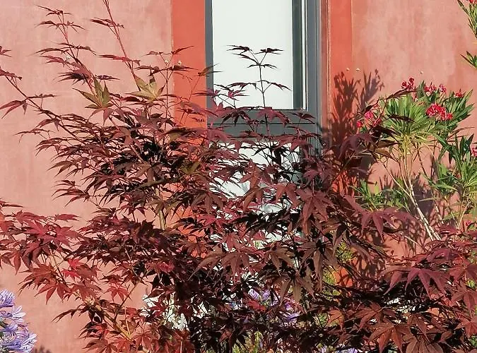 Campo De Sobarbo - Rural *