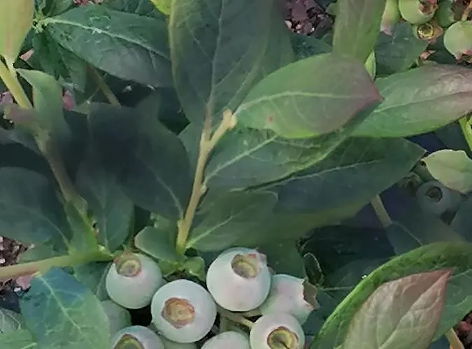 Campo De Sobarbo - Rural Villa Penafiel