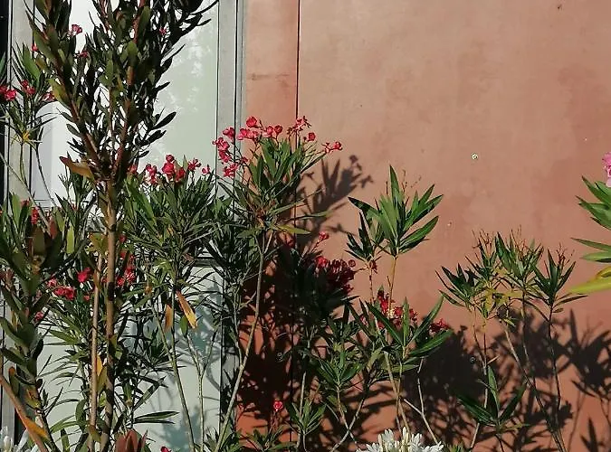 Campo De Sobarbo - Rural Penafiel