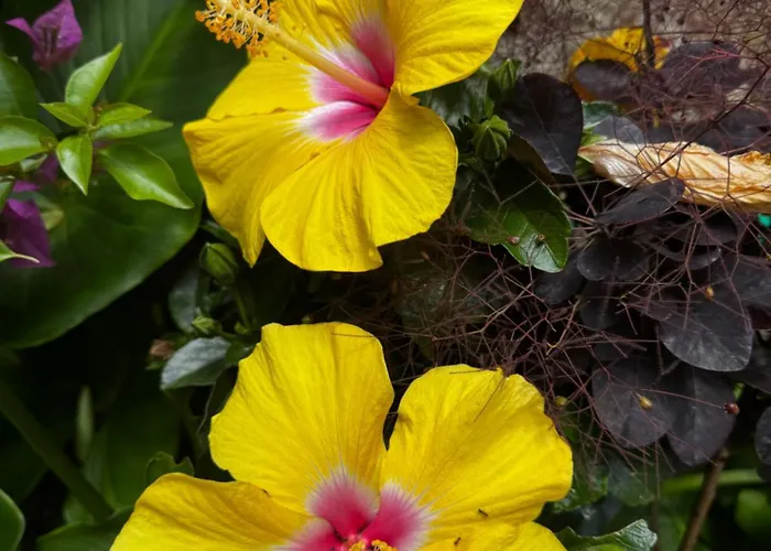 Campo De Sobarbo - Rural Villa