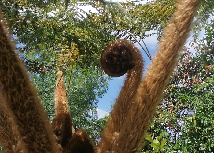 Villa Campo De Sobarbo - Rural Penafiel