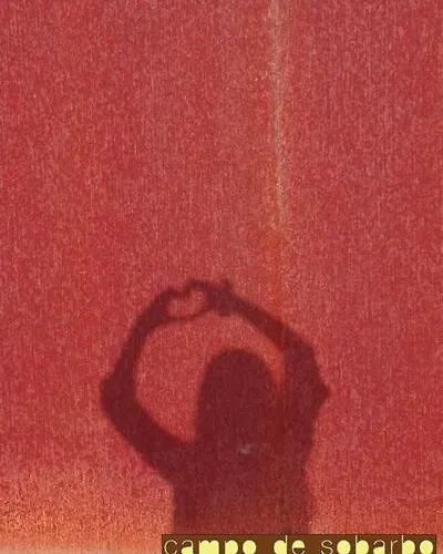 Campo De Sobarbo - Rural Penafiel