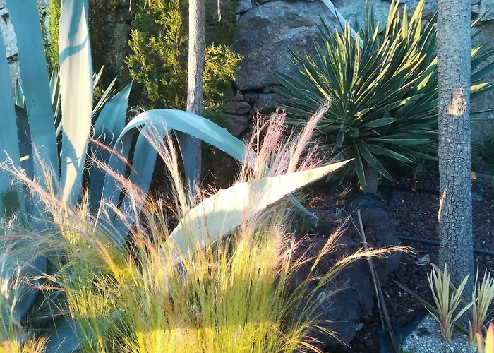 Villa Campo De Sobarbo - Rural Penafiel