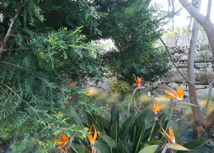 Campo De Sobarbo - Rural * Penafiel