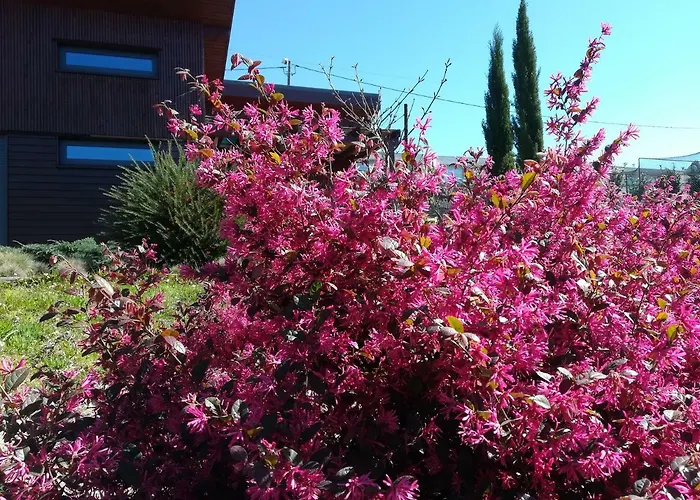 Campo De Sobarbo - Rural Villa *