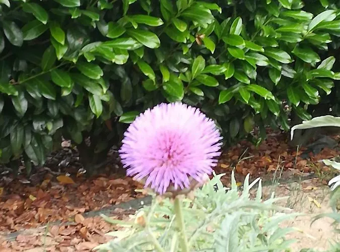 Villa Campo De Sobarbo - Rural