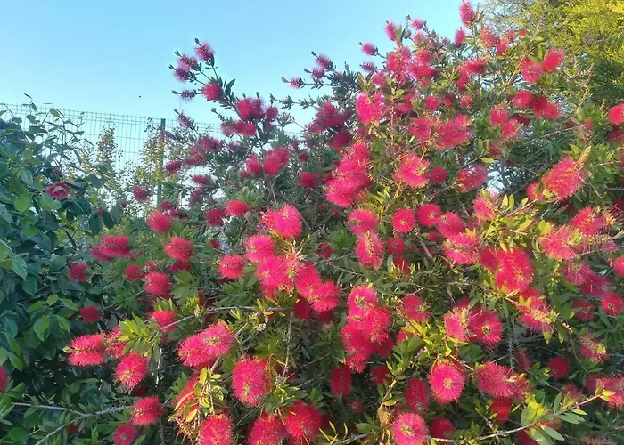 Campo De Sobarbo - Rural Villa