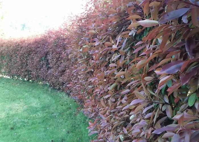 Villa Campo De Sobarbo - Rural Penafiel