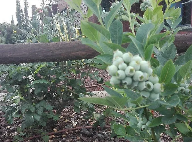 Campo De Sobarbo - Rural